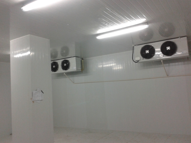 大型水果保鲜冷库的建造特点