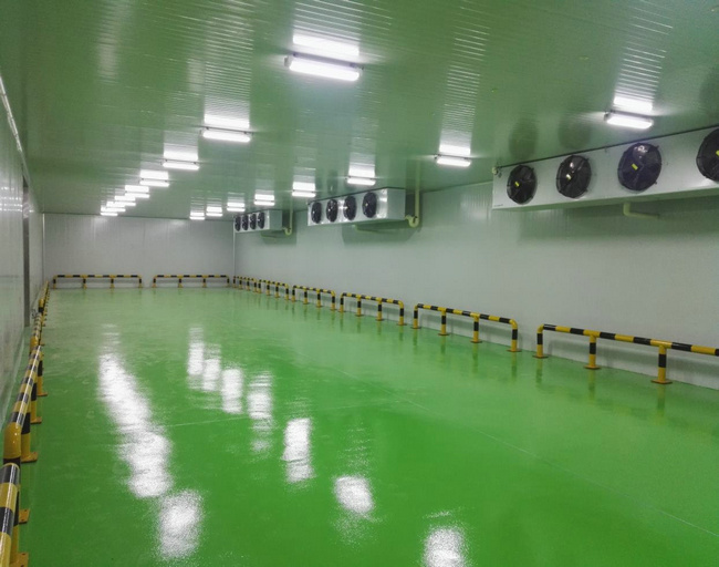 建造5000立方米的冷库造价要多少钱？