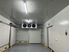 金华建一个肉类速冻怎么做？金华冷库安装