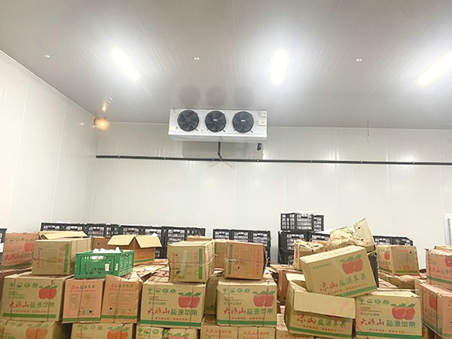 蔬菜保鲜冷库建造